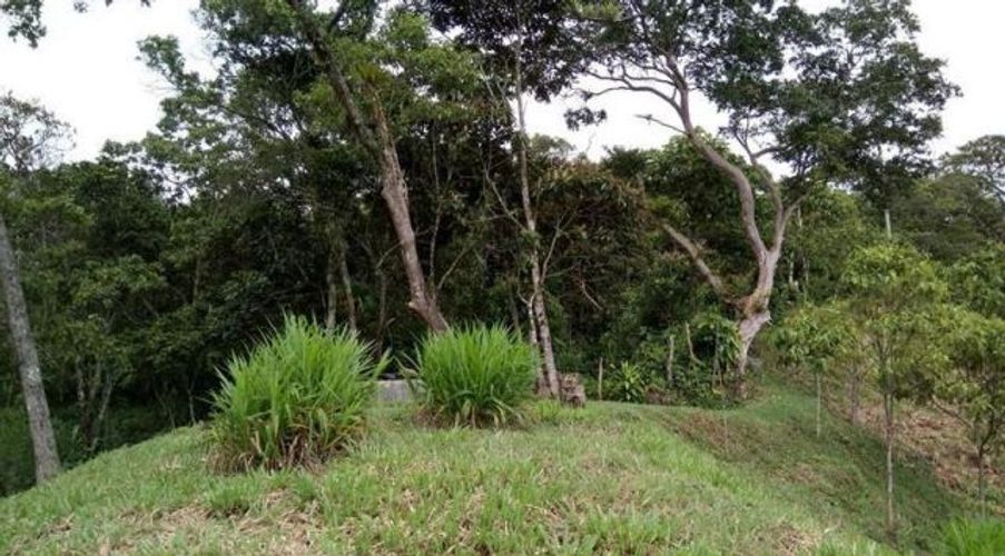 Finca en  Venta en Suaita - Miniatura 22