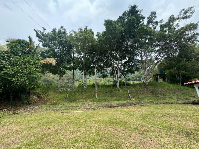 Finca en  Venta en Villeta - Miniatura 3