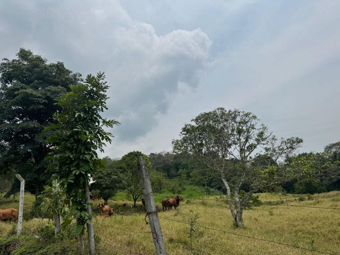 Finca en  Venta en Villeta - Miniatura 4