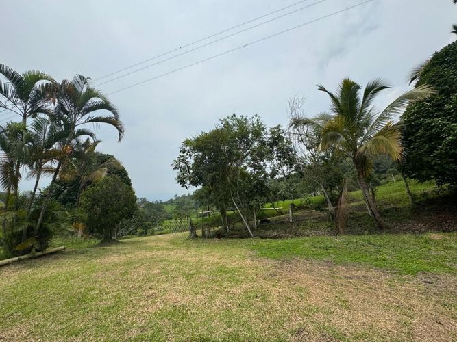 Finca en  Venta en Villeta - Miniatura 16