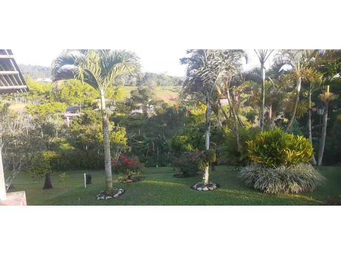 Finca en  Venta en Dagua - Miniatura 7