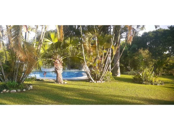 Finca en  Venta en Dagua - Miniatura 8