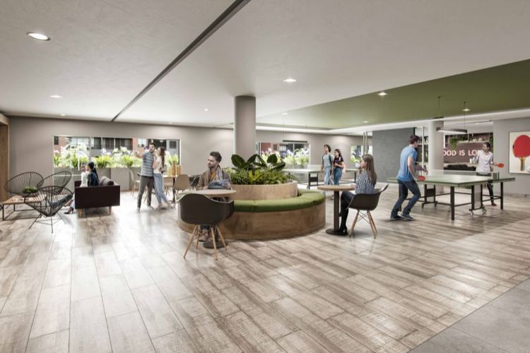 VOLARE, Apartamentos en Venta en Novaterra, Mosquera - Miniatura 13