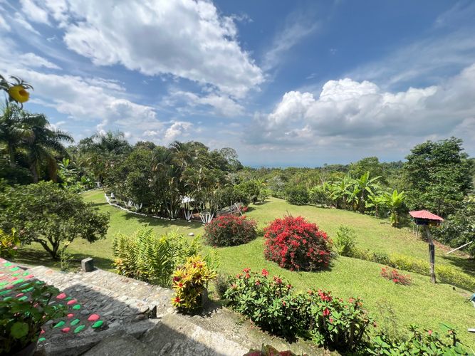 Finca en  Venta en Potrerillo, Palmira - Miniatura 17
