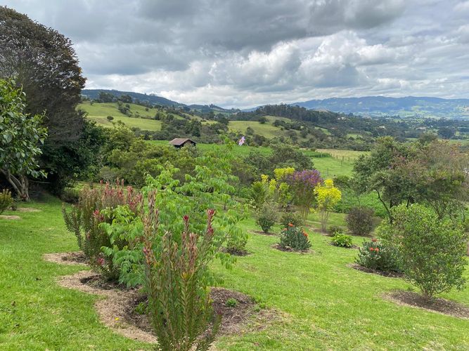 Finca en  Venta en Subachoque - Miniatura 6