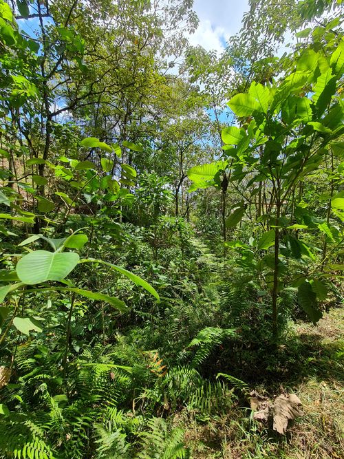 Finca en  Venta en El Retiro - Miniatura 23