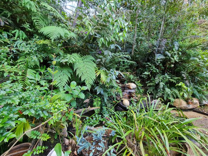 Finca en  Venta en El Retiro - Miniatura 24