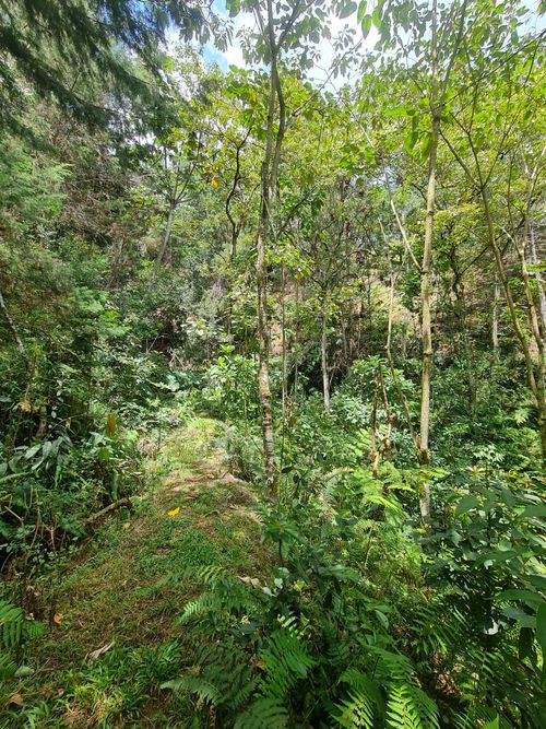 Finca en  Venta en El Retiro - Miniatura 26