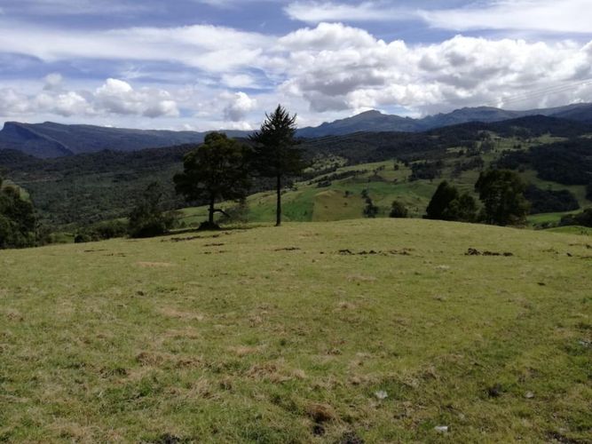 Finca en  Venta en Guatavita - Miniatura 3