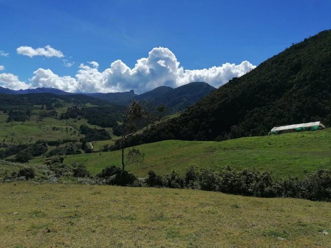 Finca en  Venta en Guatavita - Miniatura 4