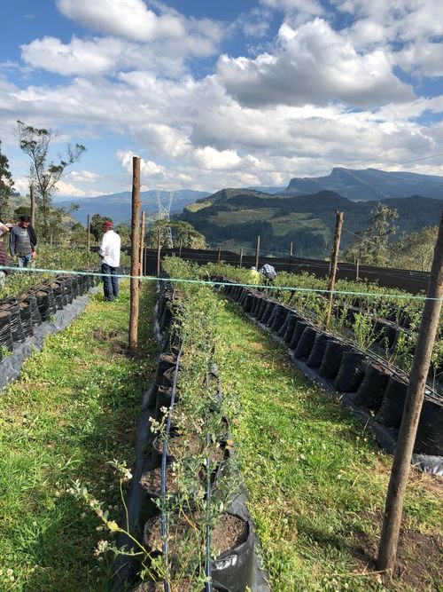 Finca en  Venta en Guatavita - Miniatura 8