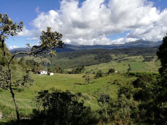 Finca en  Venta en Guatavita - Miniatura 22