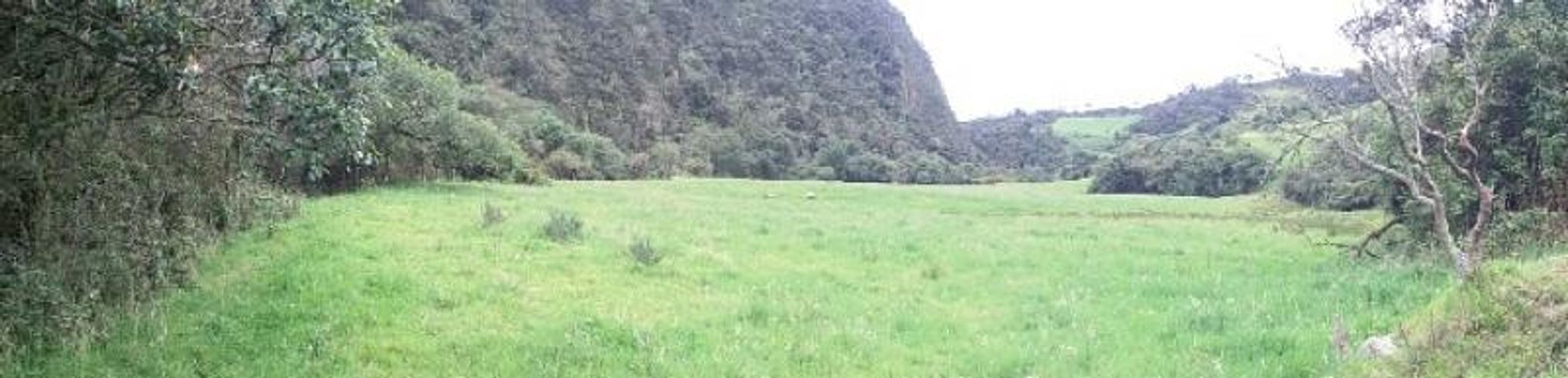Finca en  Venta en Cogua - Miniatura 2