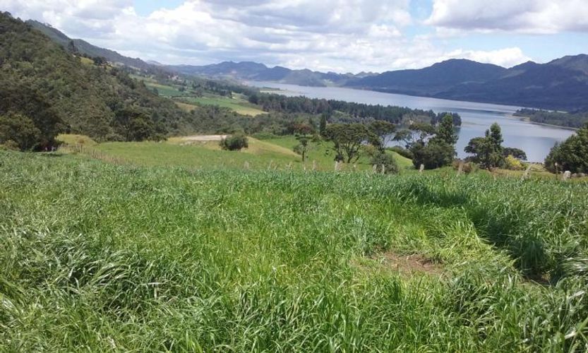 Finca en  Venta en Cogua - Miniatura 5