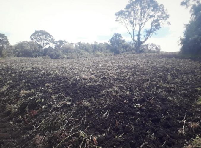 Finca en  Venta en Cogua - Miniatura 6