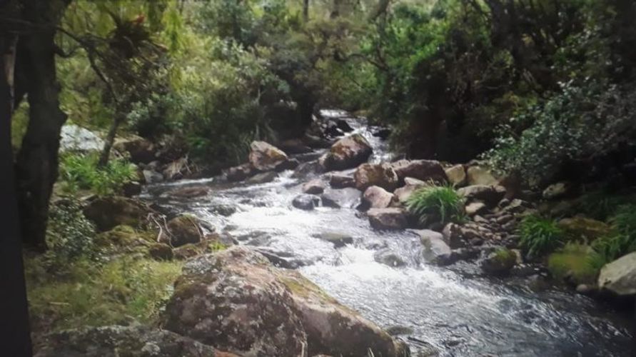 Finca en  Venta en Cogua - Miniatura 9