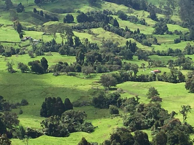 Finca en  Venta en Pacho - Imagen 1