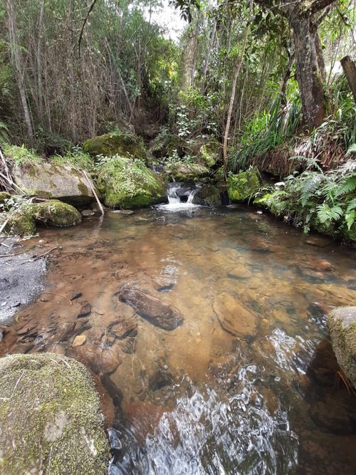 Finca en  Venta en Pacho - Miniatura 6