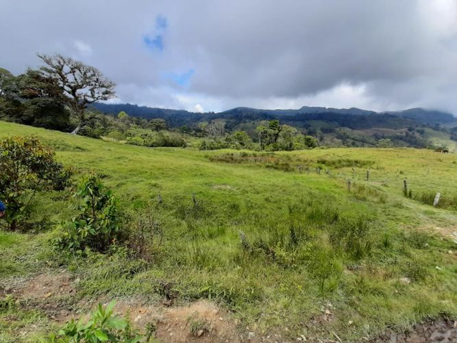 Finca en  Venta en Pacho - Miniatura 8