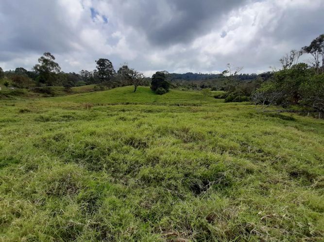 Finca en  Venta en Pacho - Miniatura 12