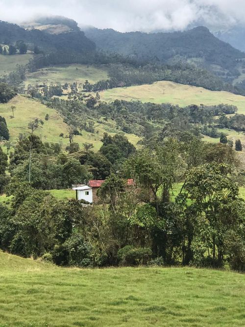 Finca en  Venta en Pacho - Miniatura 14