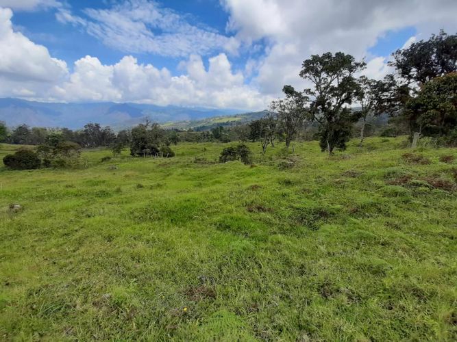Finca en  Venta en Pacho - Miniatura 16