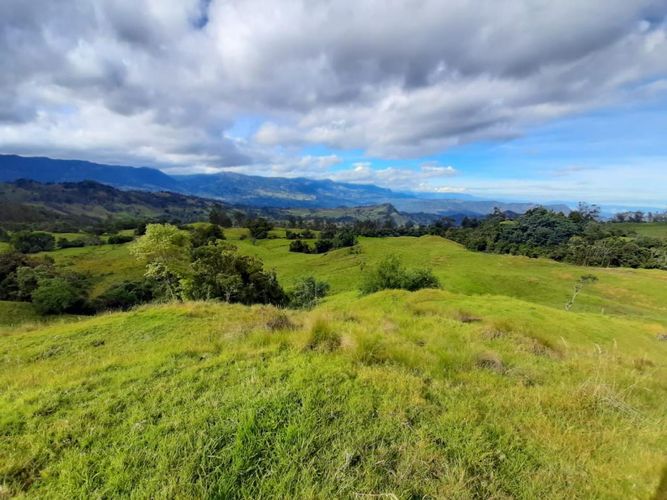 Finca en  Venta en Pacho - Miniatura 18