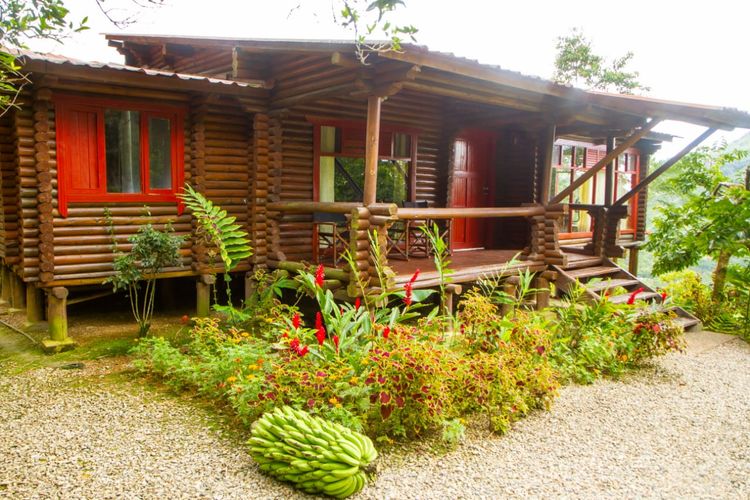 Finca en  Venta en Doima, La mesa - Miniatura 12