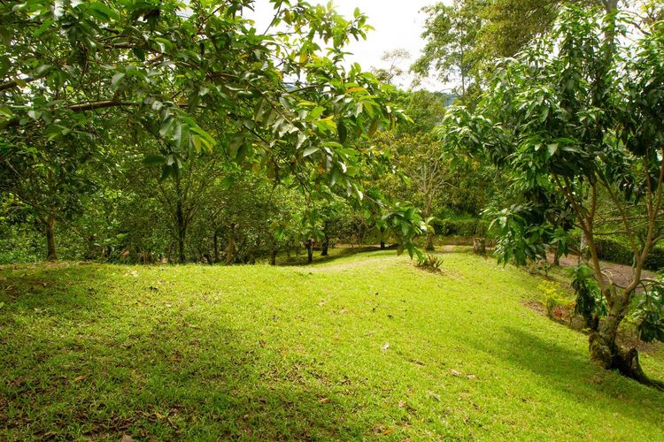Finca en  Venta en Doima, La mesa - Miniatura 18