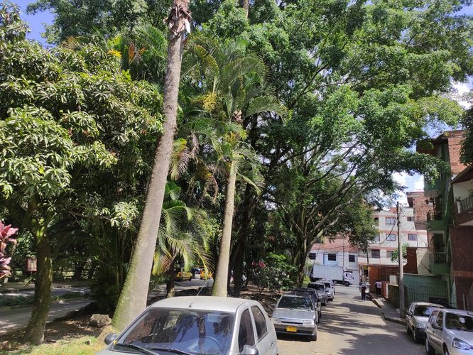Casa en  Venta en Laureles, Medellín - Miniatura 24