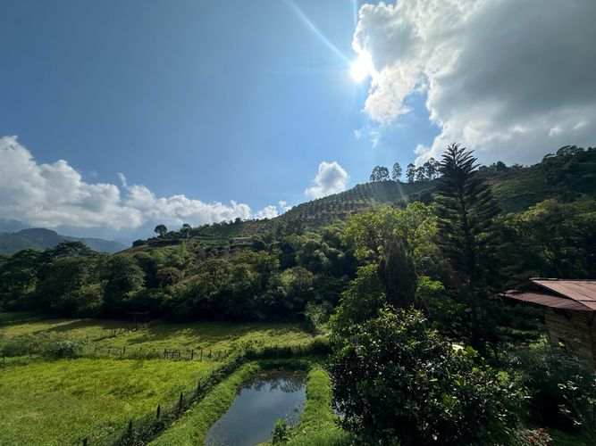 Finca en  Venta en La florida, Pereira - Miniatura 9