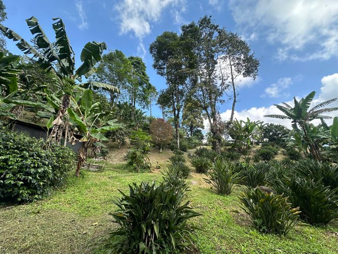 Finca en  Venta en La florida, Pereira - Miniatura 14