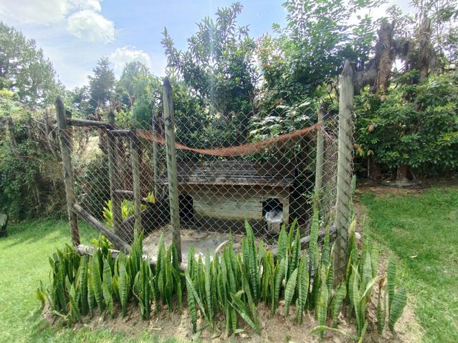 Finca en  Arriendo en Guarne - Miniatura 4