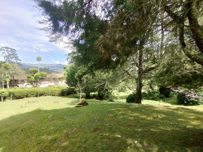 Finca en  Arriendo en Guarne - Miniatura 6