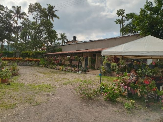 Finca en  Venta en Anolaima - Miniatura 4