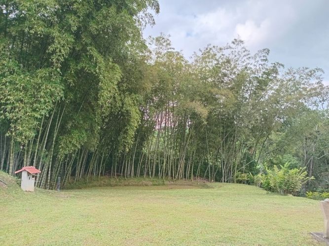 Finca en  Venta en Anolaima - Miniatura 6