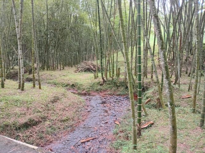 Finca en  Venta en Anolaima - Miniatura 8