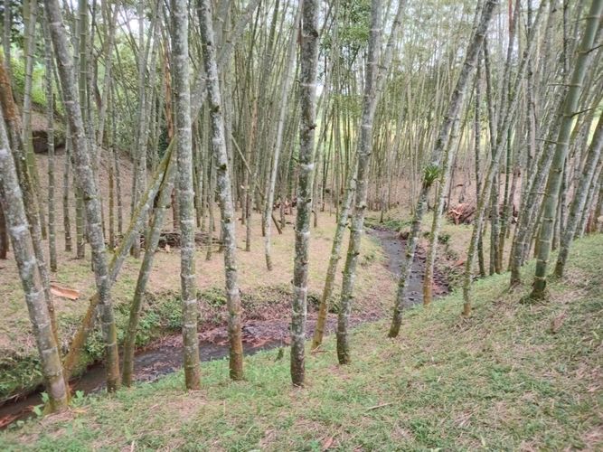 Finca en  Venta en Anolaima - Miniatura 9