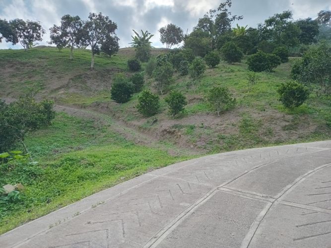 Finca en  Venta en Anolaima - Miniatura 12