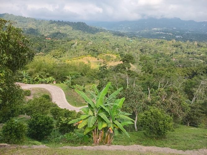 Finca en  Venta en Anolaima - Miniatura 13
