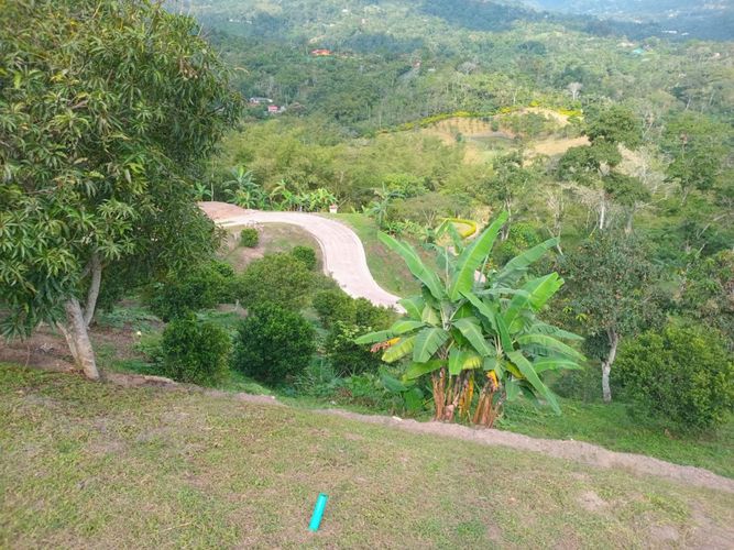 Finca en  Venta en Anolaima - Miniatura 14