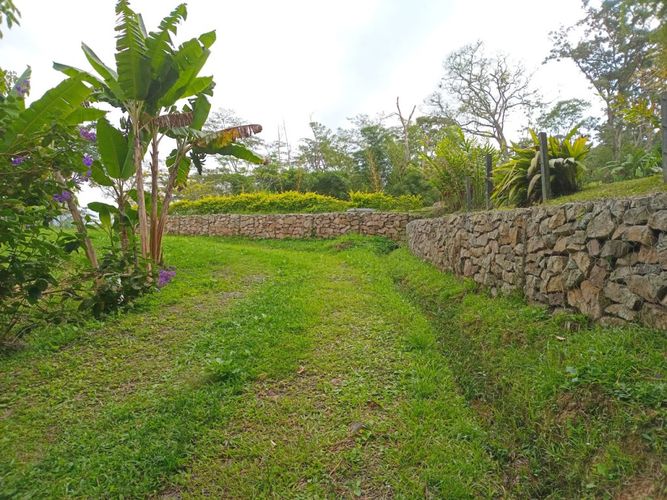 Finca en  Venta en Anolaima - Miniatura 15
