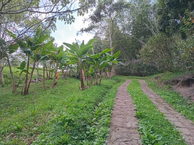 Finca en  Venta en Anolaima - Miniatura 18