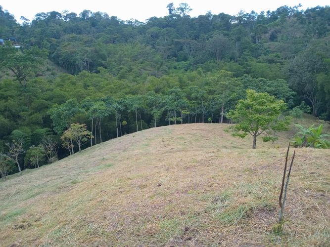 Finca en  Venta en Anolaima - Miniatura 21