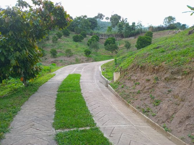 Finca en  Venta en Anolaima - Miniatura 22