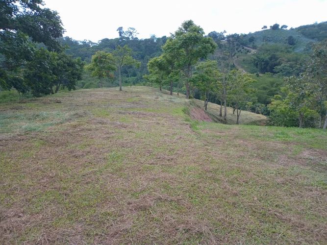 Finca en  Venta en Anolaima - Miniatura 23