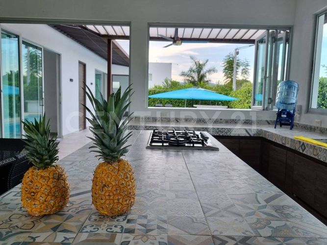 Finca en  Venta en Carmen de Apicalá - Miniatura 11