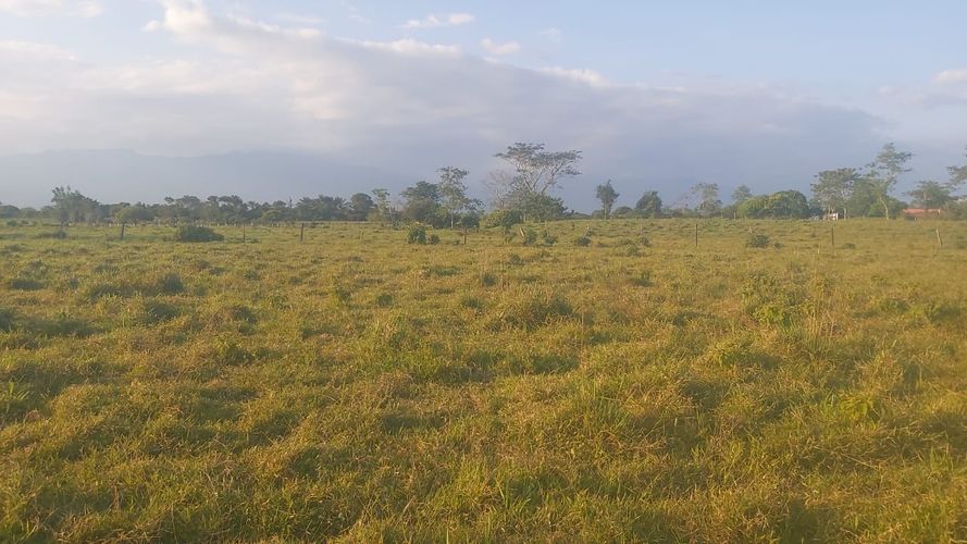 Finca en  Venta en Vega grande, Restrepo - Imagen 1