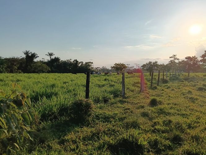 Finca en  Venta en Vega grande, Restrepo - Miniatura 5