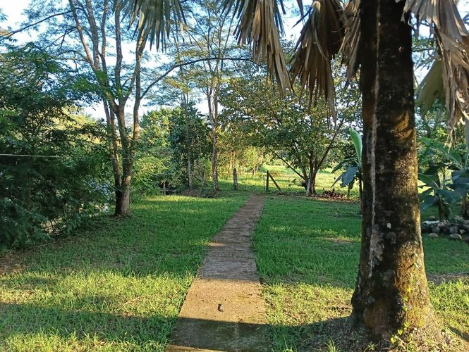 Finca en  Venta en Vega grande, Restrepo - Miniatura 8